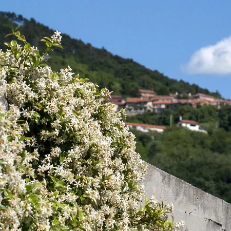Panzió Il Glicine San Dorligo della Valle
