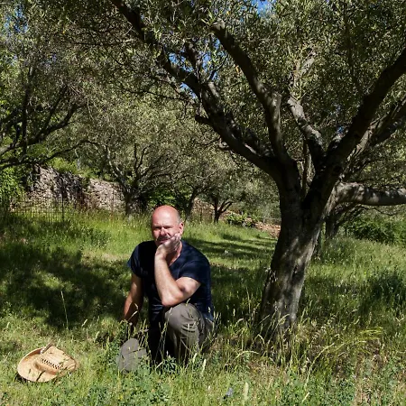 Bed and breakfast Il Glicine 3*