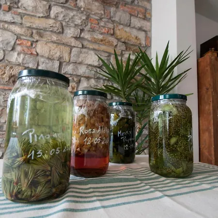 Il Glicine Bed and breakfast 3*