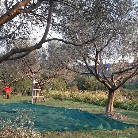 Il Glicine Bed and breakfast