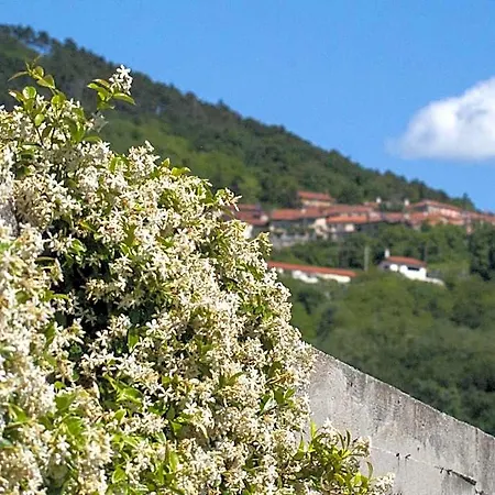 Il Glicine 3*